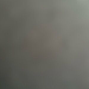 Meet your Posher, Izabella